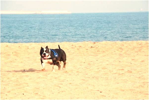 夢到女人流產流血預示什麼_周公解夢官網