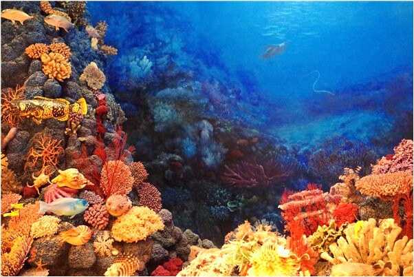 夢見從高處有什麼意思_周公解夢官網