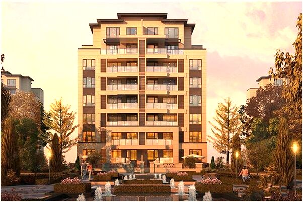 夢到了把別人馬弄丟了是什麼預兆_周公解夢官網