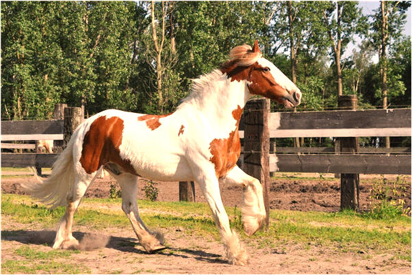 夢到了朋友給自己講皮膚有什麼預兆_周公解夢官網