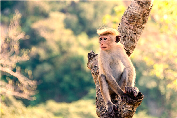 夢見辦牆報是怎么回事_周公解夢官網