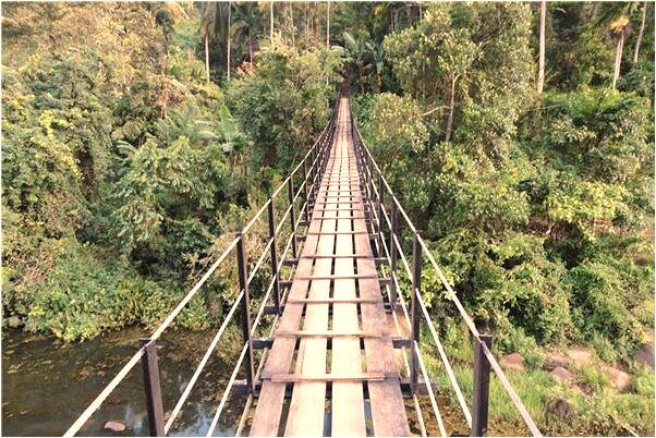 夢到茅坑填滿了是什麼徵兆_周公解夢官網