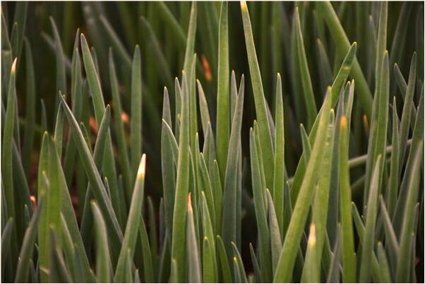 夢見被人潑糞到臉上是什麼意思_周公解夢官網