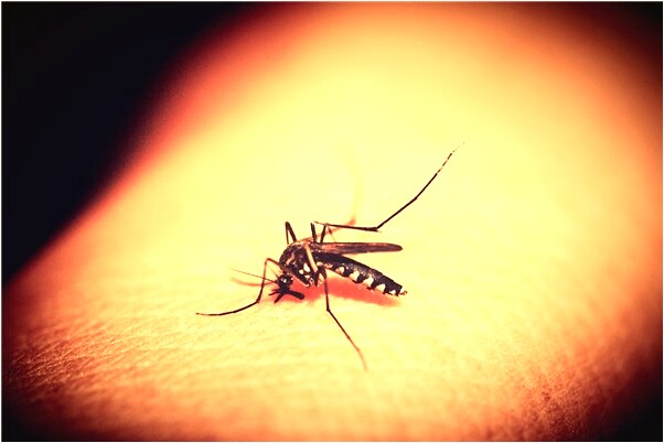 夢到已故親人在床下有什麼意思_周公解夢官網