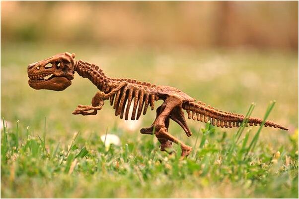 夢到了順產生了個兒子是什麼意思？_周公解夢官網