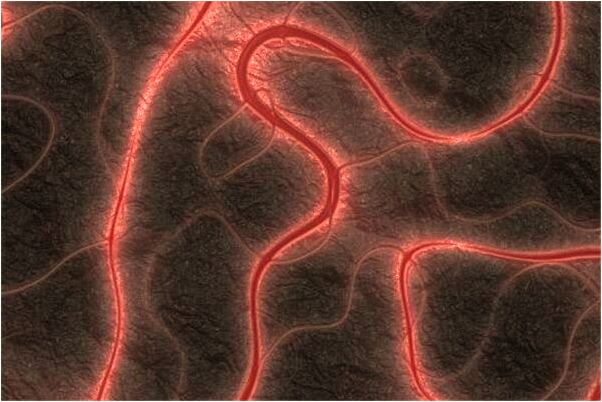 夢到了大學男同學有什麼寓意嗎？_周公解夢官網