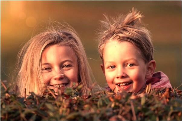 夢到兩條死鰱魚有什麼意思嗎_周公解夢官網