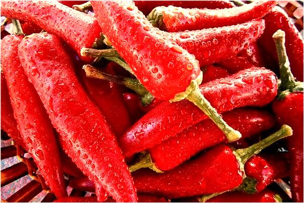 夢到家裡的老屋塔了是啥意思_周公解夢官網