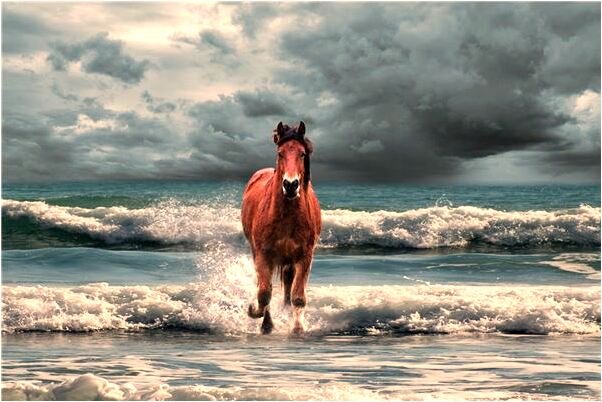 夢到一群蛇圍著我會怎么樣_周公解夢官網