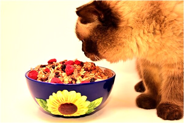 夢到拔禾苗插禾苗是好是壞_周公解夢官網