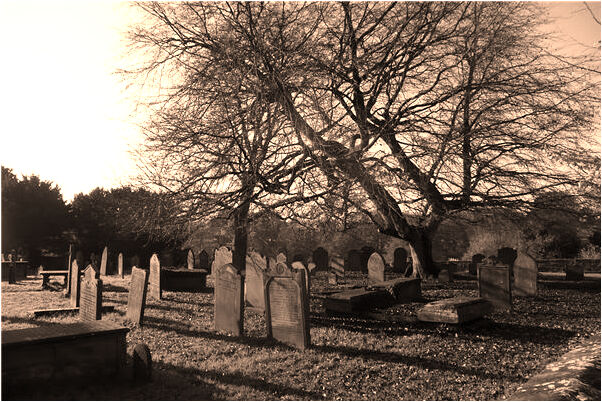 夢到口腔潰瘍十五天好有什麼意義嗎_周公解夢官網