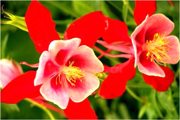 夢到了別人坐在墳頭打坐意味著什麼_周公解夢官網