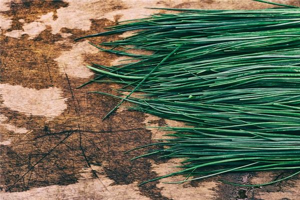 夢見嫩綠的韭菜_周公解夢