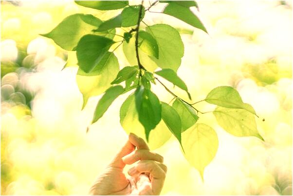 夢見與同性好朋友接吻做愛是什麼意思？_周公解夢官網