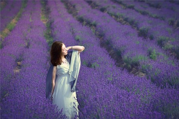 86年屬虎2020年運勢_十二生肖