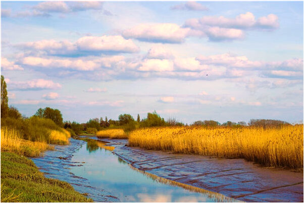夢到了死人出山怎么樣_周公解夢官網