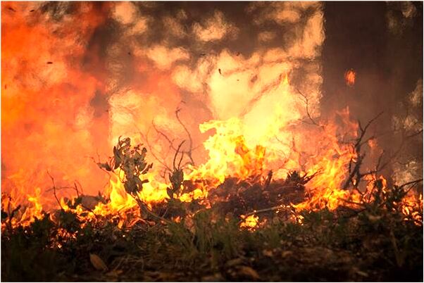 夢到蓋了好多漂亮樓房是好是壞_周公解夢官網