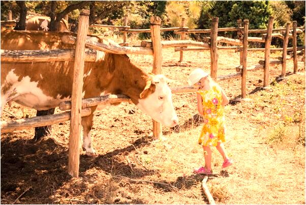 夢見他和我的心好遠是什麼意思_周公解夢官網
