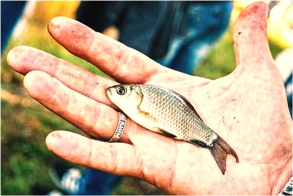 夢到了死去的同喜叫我是啥意思_周公解夢官網