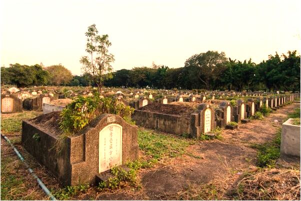 夢到了跟很多人泡在屎堆里有什麼徵兆_周公解夢官網