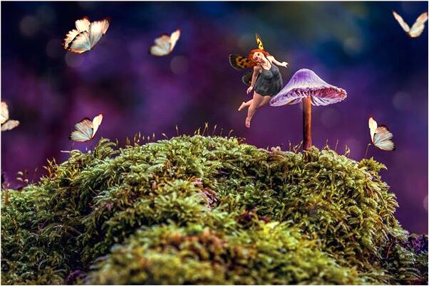 夢到夢廁所女孩啥意思_周公解夢官網