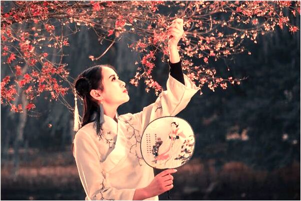 夢見抓住五彩鳥有什麼寓意嗎？_周公解夢官網