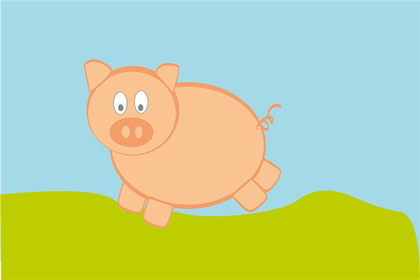 2007年屬豬2月的人命運如何_十二生肖