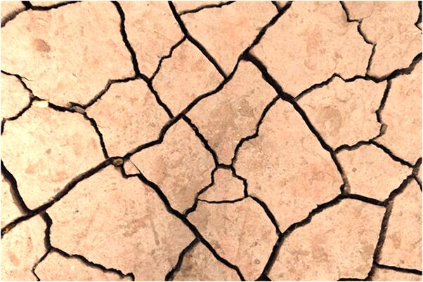 夢到黑色的鯉魚有什麼寓意嗎_周公解夢官網