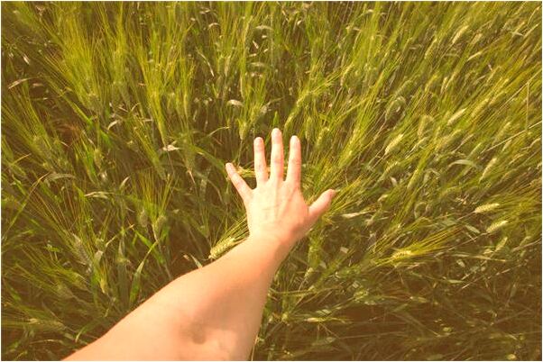 夢見用碗打小偷會有什麼預兆_周公解夢官網