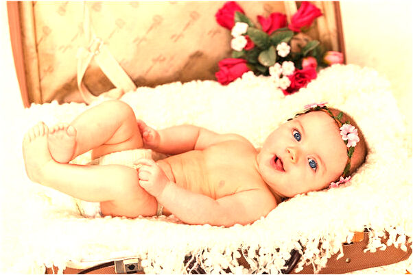 夢到了一大群狗咬我會是什麼預兆_周公解夢官網