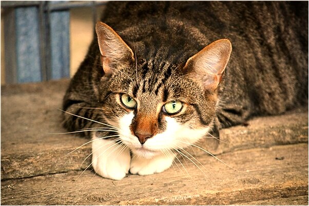 夢見砂石滑坡怎么樣_周公解夢官網