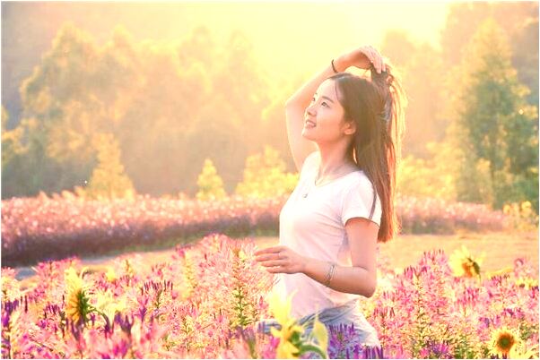 夢到了老虎是自己寵物是什麼意思_周公解夢官網