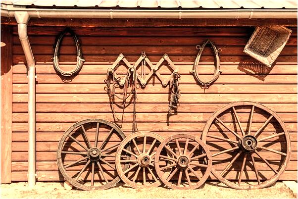 夢見自己胳膊中槍怎么樣_周公解夢官網