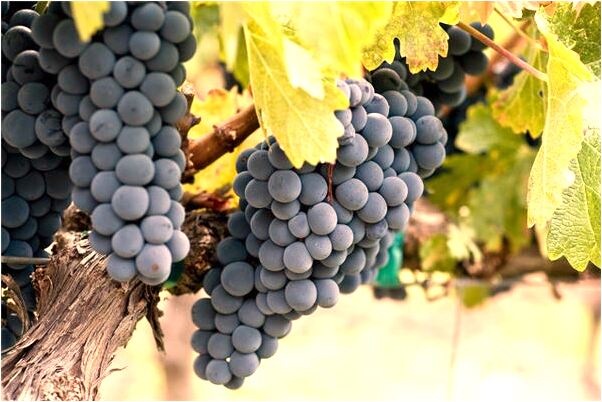 夢到了老婆帶小孩自己跳進冰水是好事還是壞事_周公解夢官網