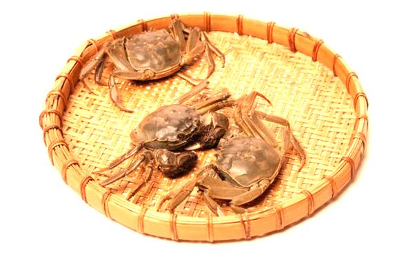 夢見載滿人的黑色破拖拉機好不好_周公解夢官網