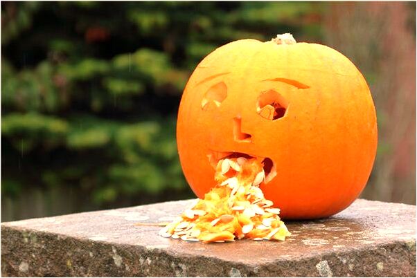 夢到了車子把貓子的尾巴壓斷了是好事還是壞事_周公解夢官網