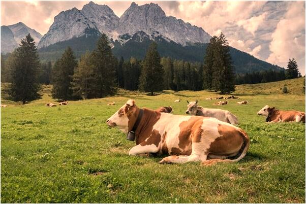 夢見門鑰匙被盜又給要會來了有什麼意思_周公解夢官網