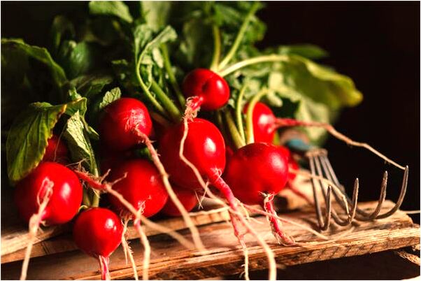 夢見巨貓死人與蛇是什麼意思_周公解夢官網