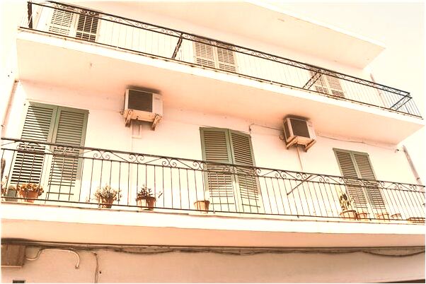 夢到了獅子抓我的預兆_周公解夢官網