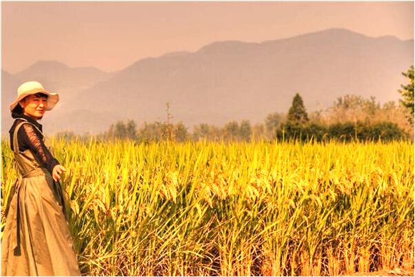 夢到了擠羊奶什麼寓意_周公解夢官網