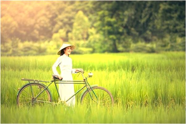 夢到了河邊有很多魚隨便捉是咋回事_周公解夢官網