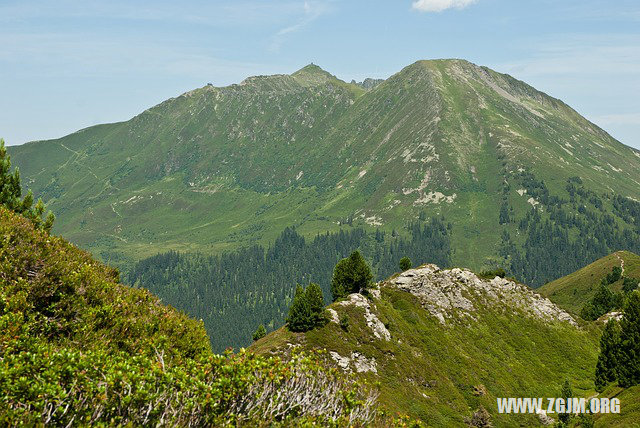 夢見和狗搏鬥_周公解夢夢到和狗搏鬥是什麼意思_做夢夢見和狗搏鬥好不好_周公解夢官網