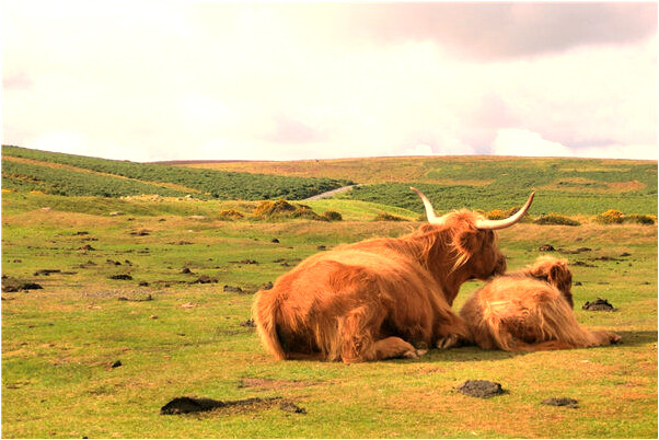 夢到了撿錢和多找給我錢是不是好的徵兆呢_周公解夢官網