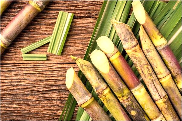 夢見走路時遇到出殯是怎么回事_周公解夢官網