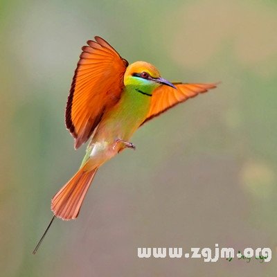 沒有安全感的12星座會做些什麼事情_十二星座