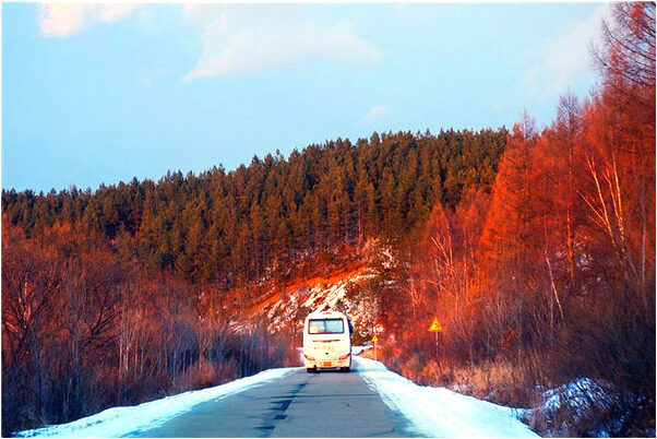 夢到有毒的大蜘蛛咬我會是什麼預兆_周公解夢官網