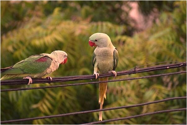 夢到了大便後用錢擦屁股是吉兆嗎?_周公解夢官網