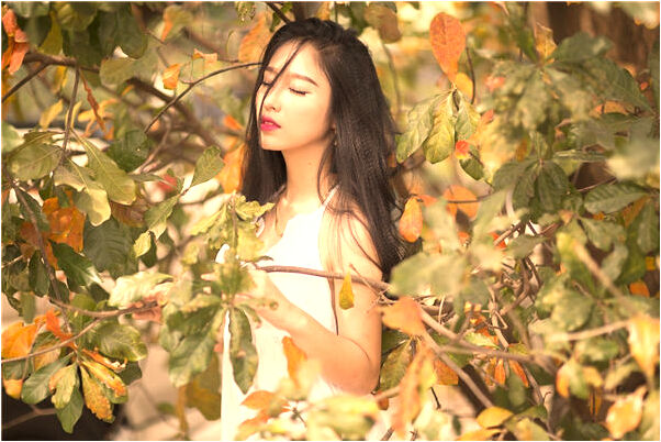 夢見同級找我要能幹的人我沒給是不是好的徵兆呢_周公解夢官網