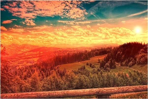 夢到了一條蛇咬住了一隻鵝會是什麼預兆_周公解夢官網