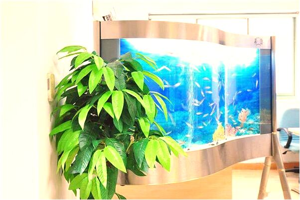 夢見媽媽種菜什麼寓意_周公解夢官網